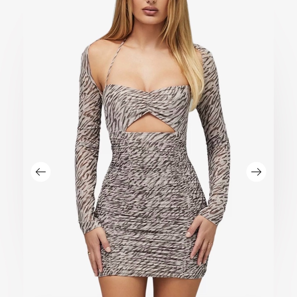 Zebra Print Ruched Mini Dress